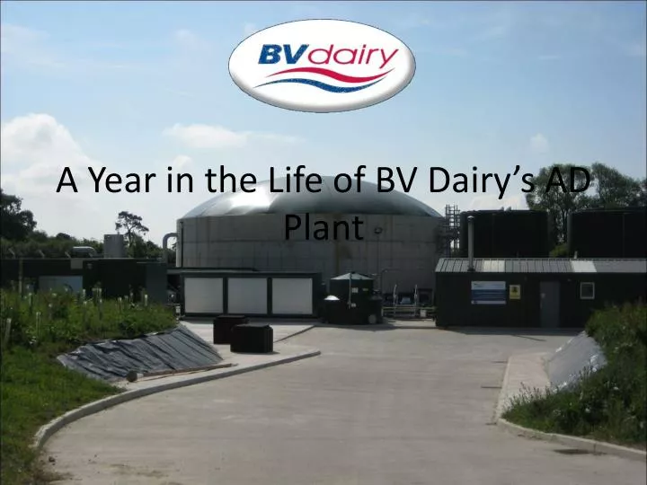 a year in the life of bv dairy s ad plant