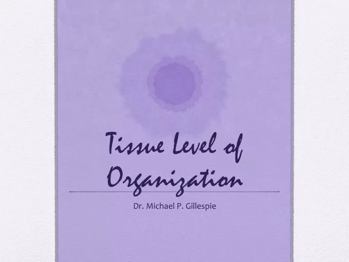 tissue level of organization