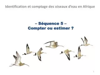 s quence 5 compter ou estimer