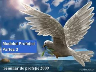 modelul profe iei partea 3