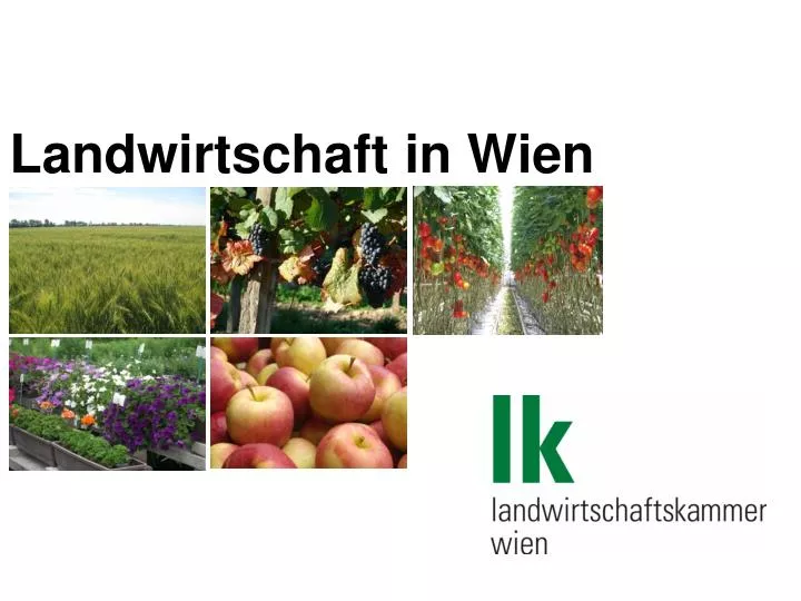 landwirtschaft in wien