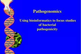 Pathogenomics Using bioinformatics to focus studies of bacterial pathogenicity