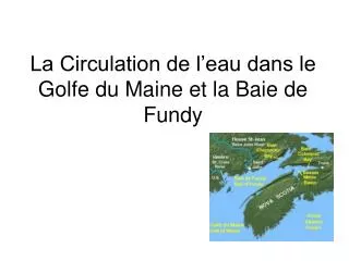 la circulation de l eau dans le golfe du maine et la baie de fundy