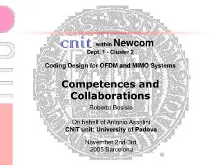within Newcom Dept. 1 - Cluster 2 Coding Design for OFDM and MIMO Systems