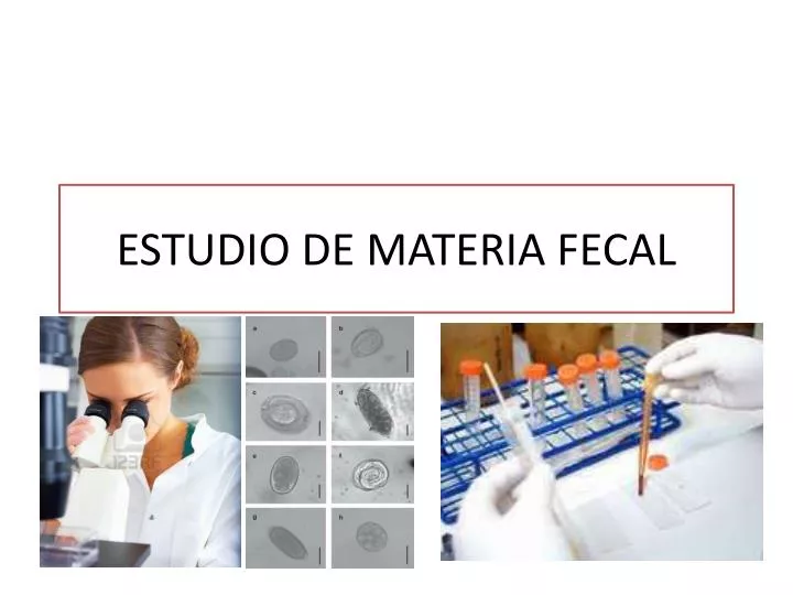 estudio de materia fecal