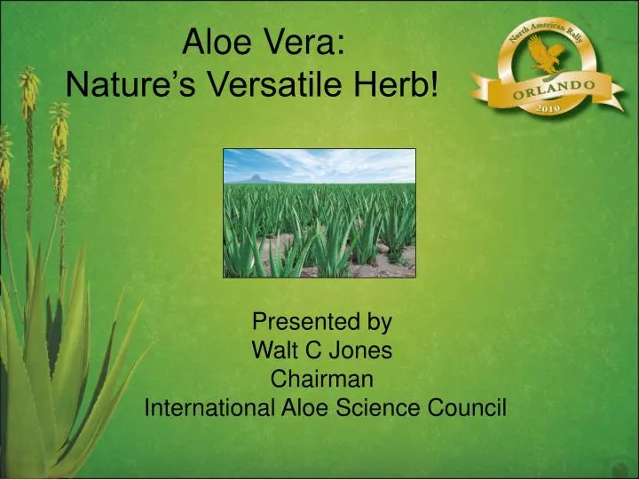 aloe vera nature s versatile herb