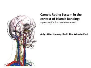 CAMELS Rating System in the context of Islamic Banking
