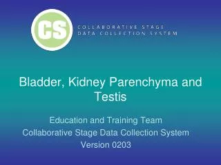 Bladder, Kidney Parenchyma and Testis