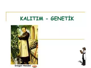 kalitim genet k