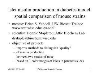 islet insulin production in diabetes model: spatial comparison of mouse strains