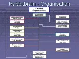 Rabbitbrain - Organisation