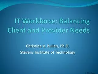 IT Workforce: Balancing Client and Provider Needs