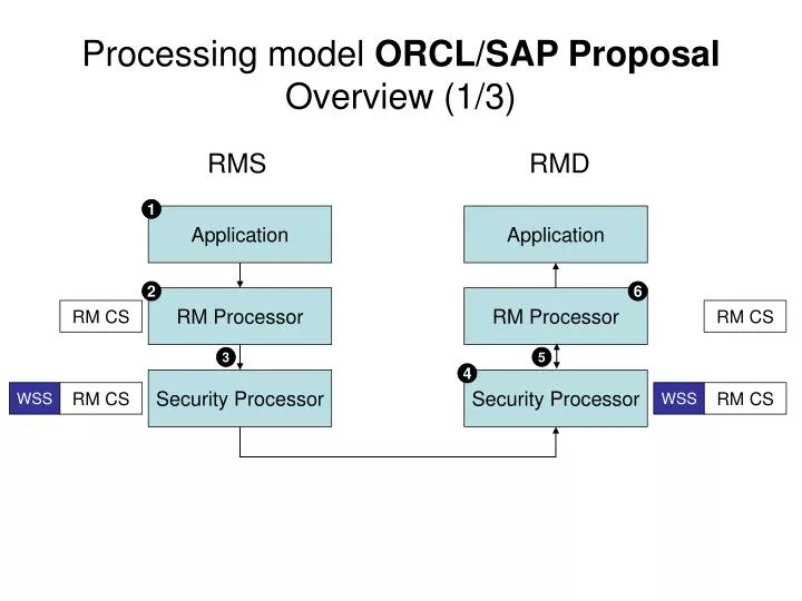 processing model orcl sap proposal overview 1 3