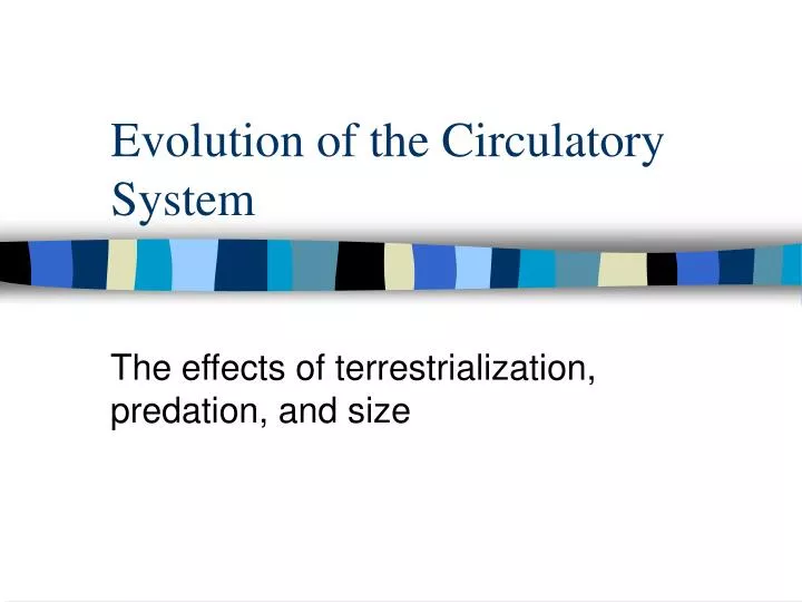 evolution of the circulatory system