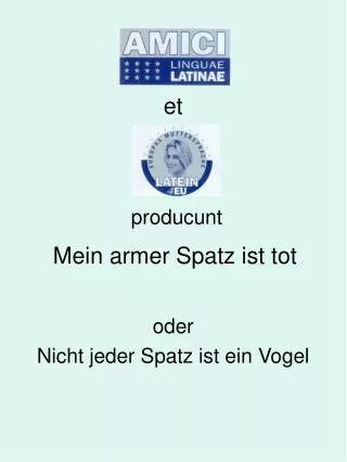 mein armer spatz ist tot