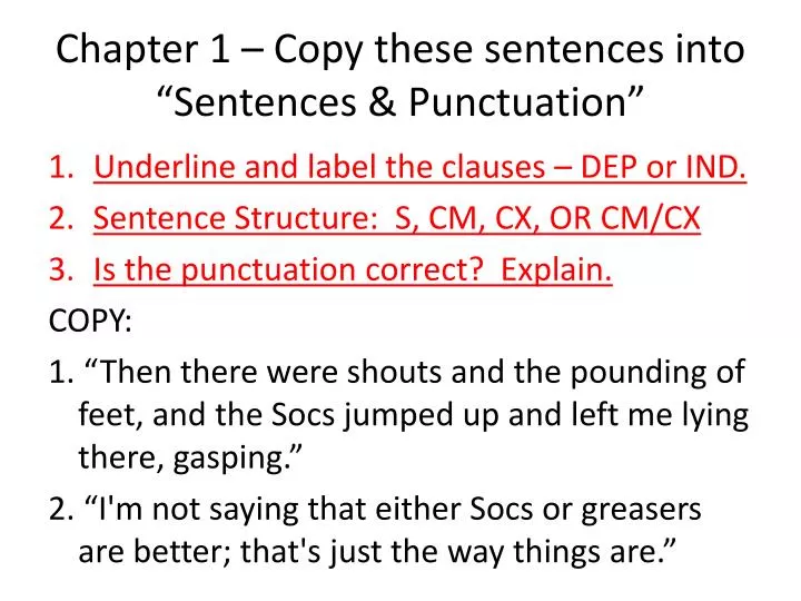 chapter 1 copy these sentences into sentences punctuation