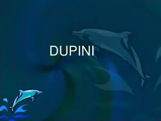 dupini