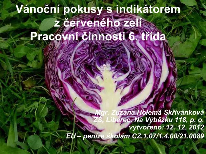 v no n pokusy s indik torem z erven ho zel pracovn innosti 6 t da