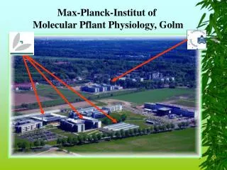 Max-Planck-Institut of Molecular Pflant Physiology, Golm