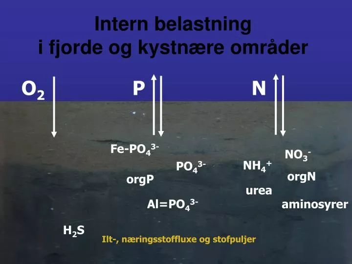 intern belastning i fjorde og kystn re omr der