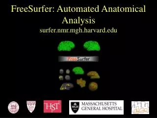 FreeSurfer: Automated Anatomical Analysis surfer.nmr.mgh.harvard