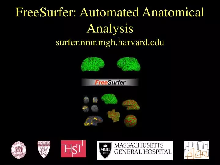 freesurfer automated anatomical analysis surfer nmr mgh harvard edu