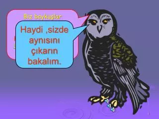 Biz baykuşlar nasıl öteriz ? Öterken en önce hangi sesi çıkarırız? Söyleyebilir misiniz?