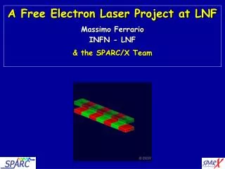A Free Electron Laser Project at LNF Massimo Ferrario INFN - LNF &amp; the SPARC/X Team