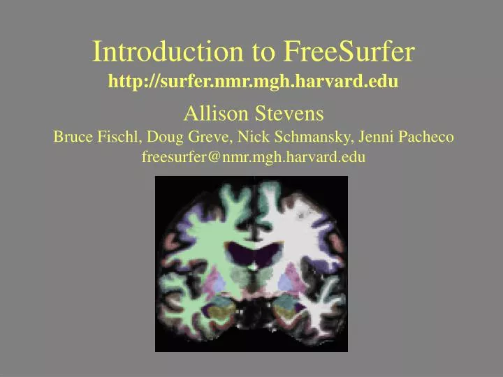 introduction to freesurfer http surfer nmr mgh harvard edu
