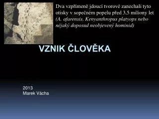 2013 marek v cha