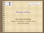Dissenys en blocs - slide 1