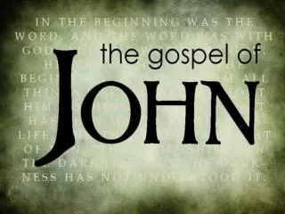 John, the Apostle, is the author.