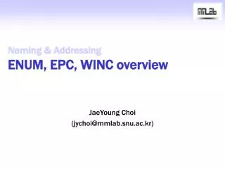 Naming &amp; Addressing ENUM, EPC, WINC overview