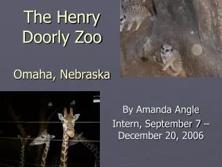 The Henry Doorly Zoo Omaha, Nebraska