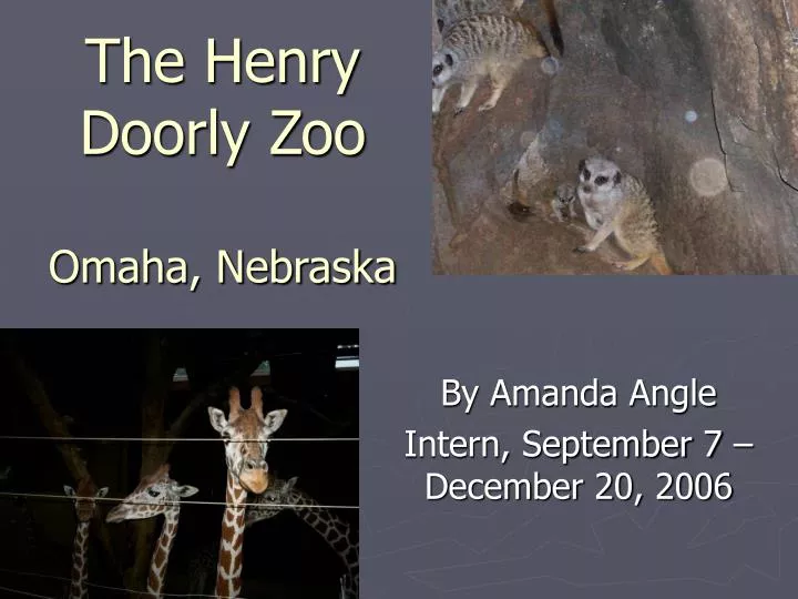 the henry doorly zoo omaha nebraska