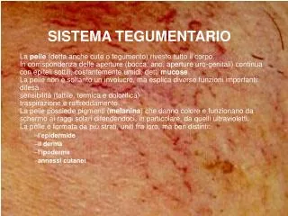sistema tegumentario