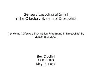 Sensory Encoding of Smell in the Olfactory System of Drosophila