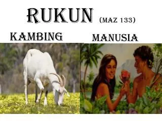 rukun maz 133
