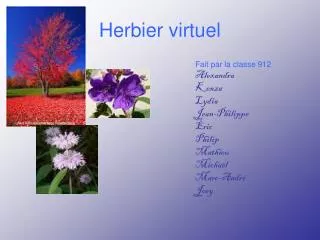 herbier virtuel