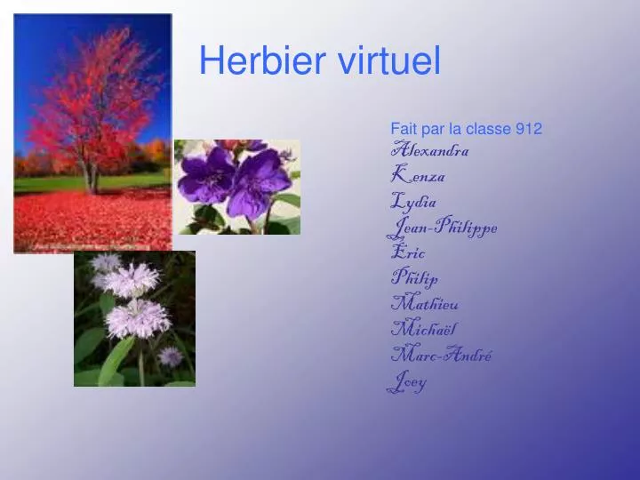 herbier virtuel