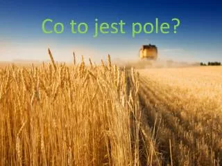 co to jest pole