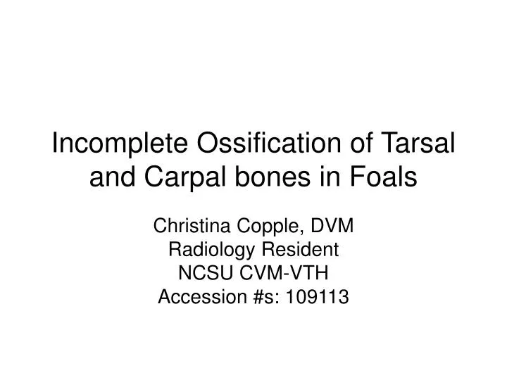 incomplete ossification of tarsal and carpal bones in foals