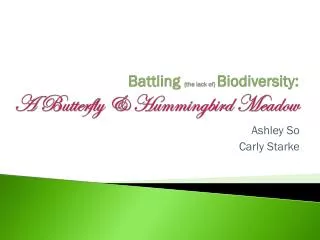 Battling {the lack of} Biodiversity: A Butterfly &amp; Hummingbird Meadow