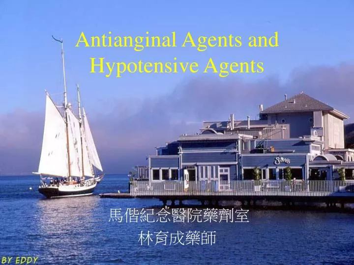 antianginal agents and hypotensive agents