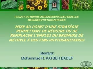 steward mohammad r katbeh bader
