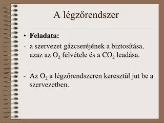 a l gz rendszer