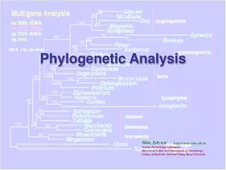 Phylogenetic Analysis