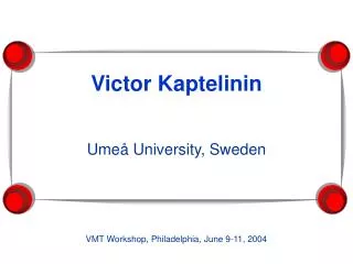 Victor Kaptelinin