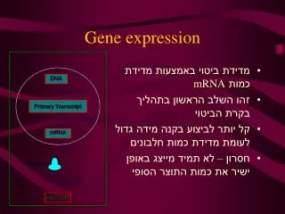 gene expression