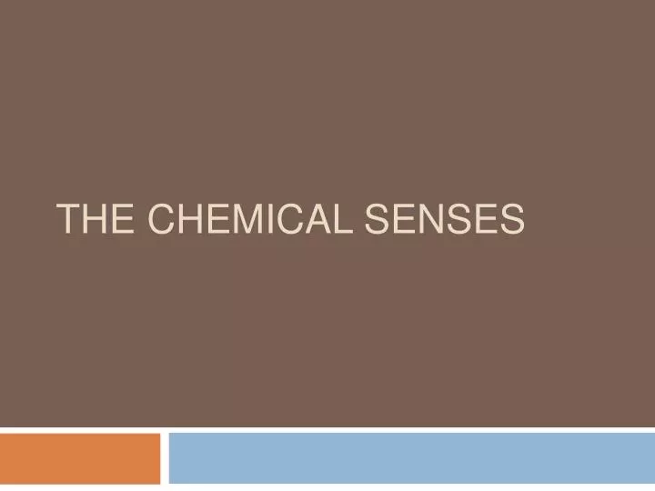 the chemical senses